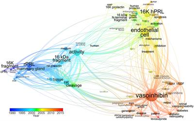 Regulator of Angiogenesis and Vascular Function: A 2019 Update of the Vasoinhibin Nomenclature